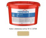 RM pro Uziarnienie średnie ≤ 0,5 mm Wytrzymałość normalna remmers Oliwkowa ochra