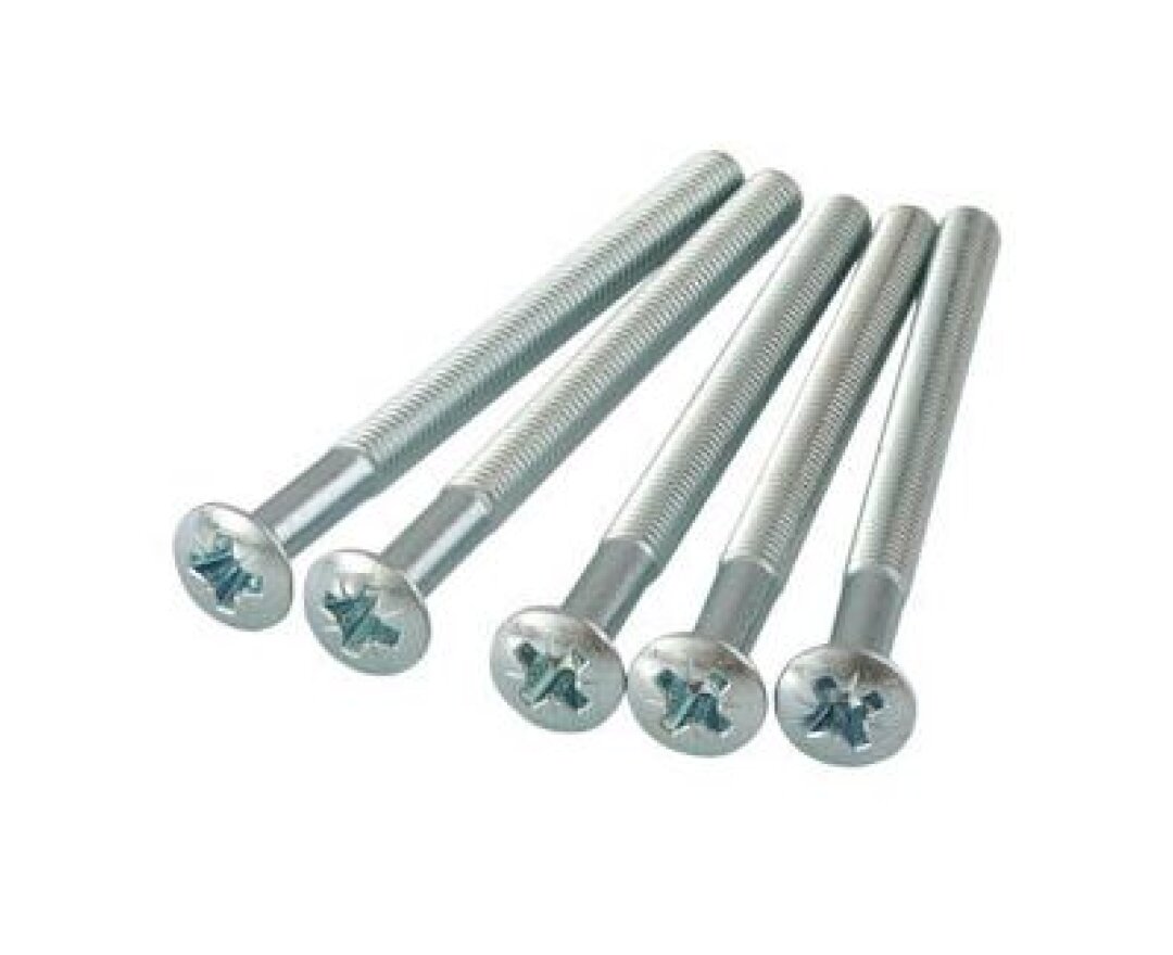 Śruby dodatkowe do szyldów AXA F1 srebrny - 80 mm- fot-