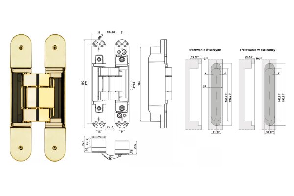 ZAWIAS WPUSZCZANY INVISACTA 310 3-D 120 KG (4 NASADKI) OTLAV Złoty